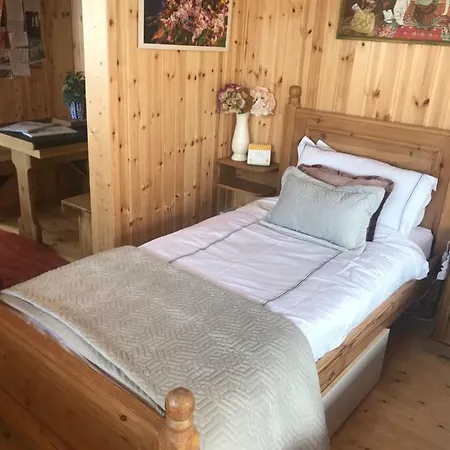 Apartment Cosy Countryside Log *