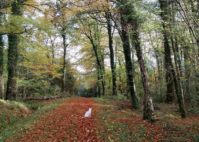 Cosy Countryside Log Appartamento Kilkenny